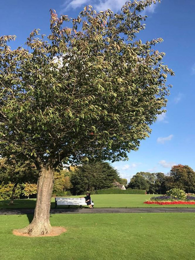 BTV Vân Anh sau 2 năm rời VTV giờ ra sao?